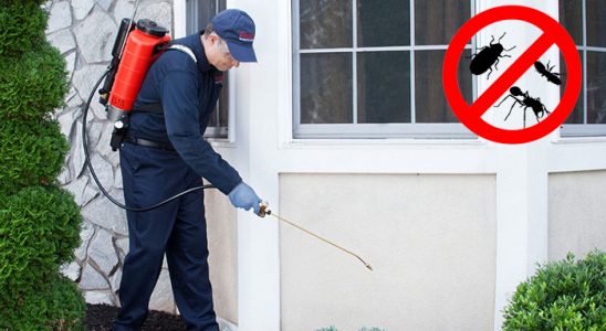 Esenyurt Gümüşkurt İlaçlama böcek ilaçlama ve haşere kontrolü — ilaclama-tr.com